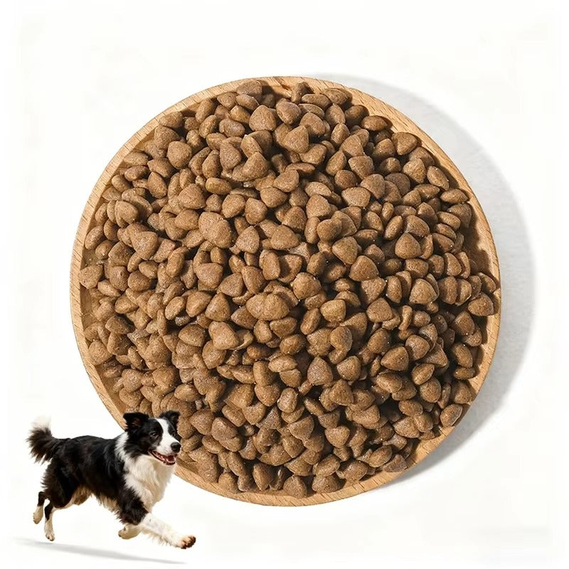 Dog Food & Treats
