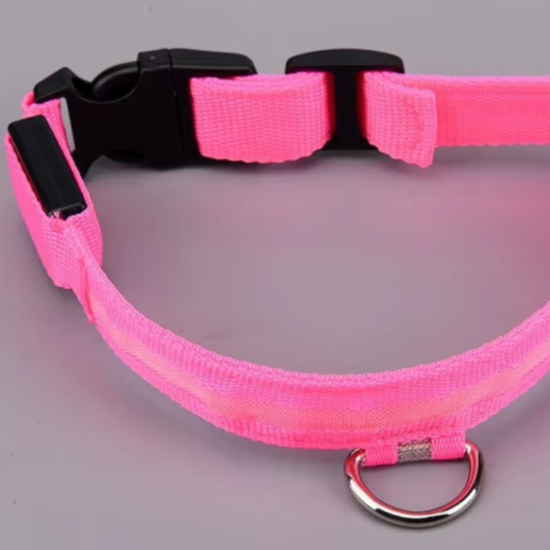 Rechargeable LED Dog Safety Collar