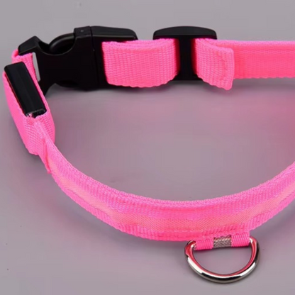 Rechargeable LED Dog Safety Collar
