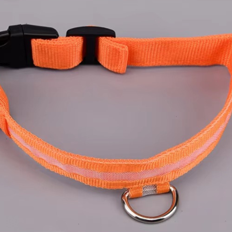 Rechargeable LED Dog Safety Collar