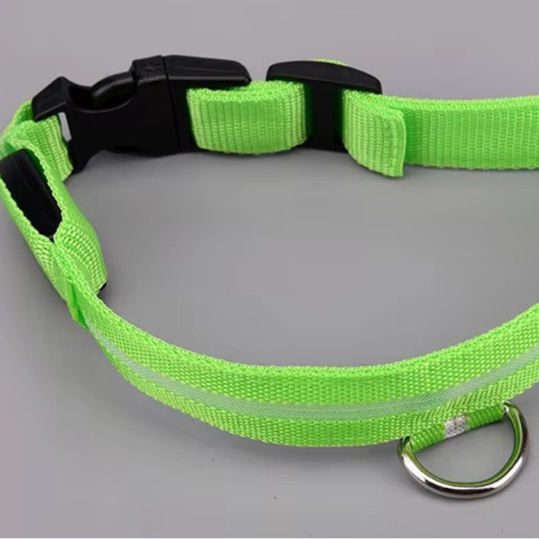 Rechargeable LED Dog Safety Collar