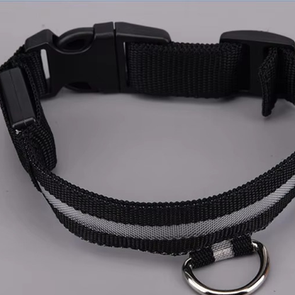 Rechargeable LED Dog Safety Collar