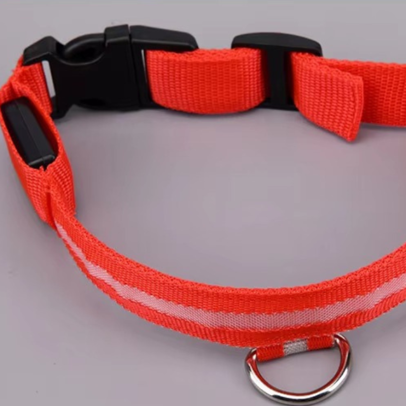 Rechargeable LED Dog Safety Collar
