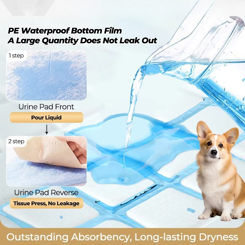 Disposable Dog Pee Pads