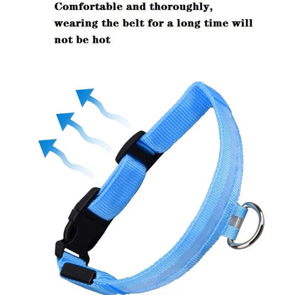 Rechargeable LED Dog Safety Collar