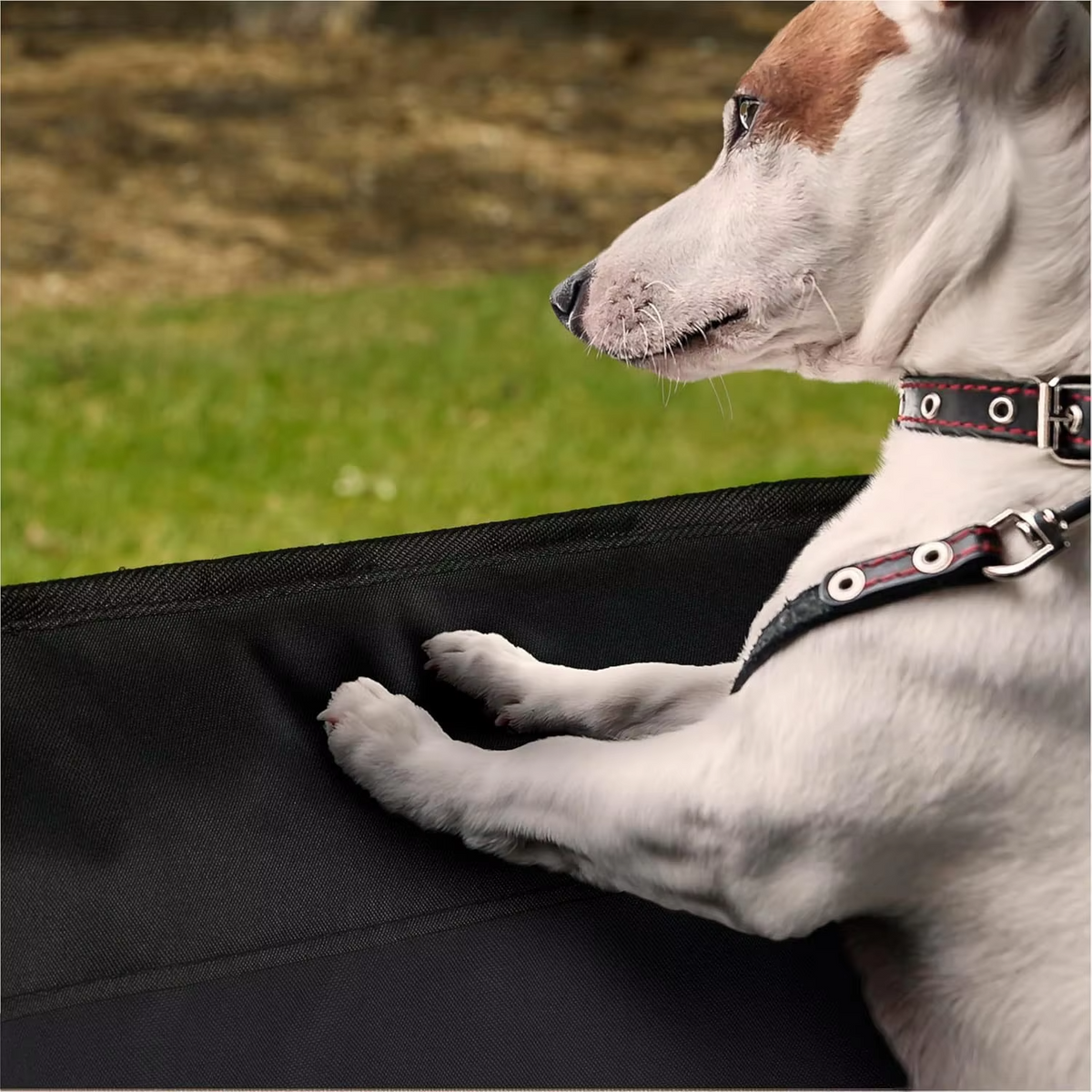 Waterproof Dog Car Door Protector Cover