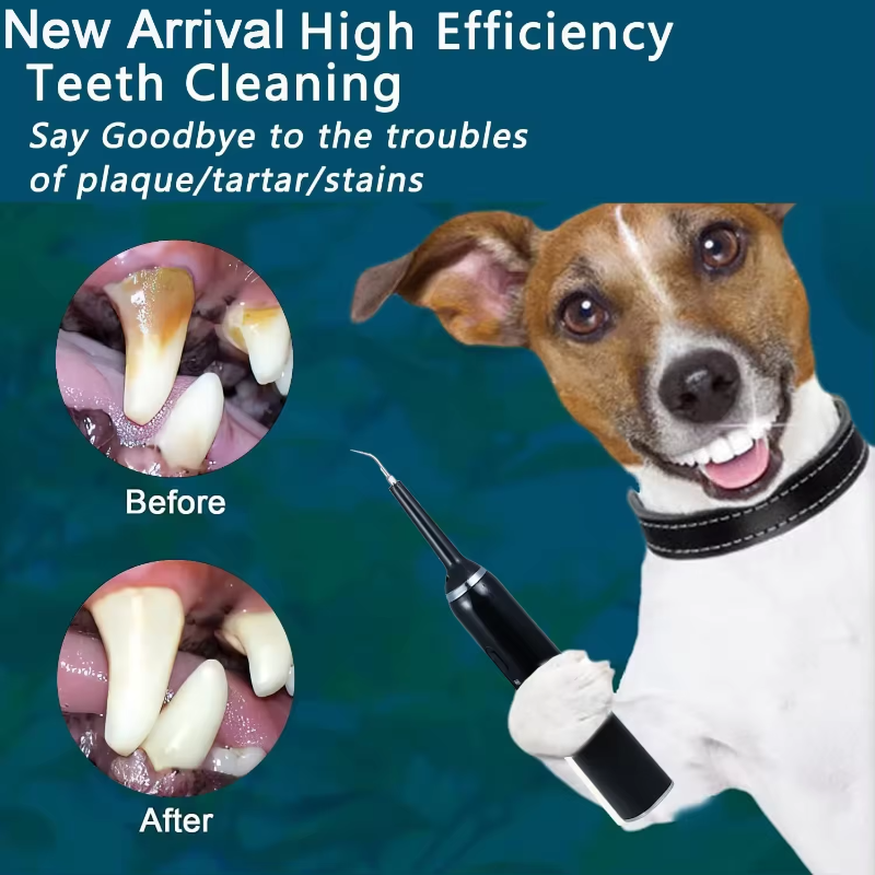 Electric Pet Dental Cleaning Kit
