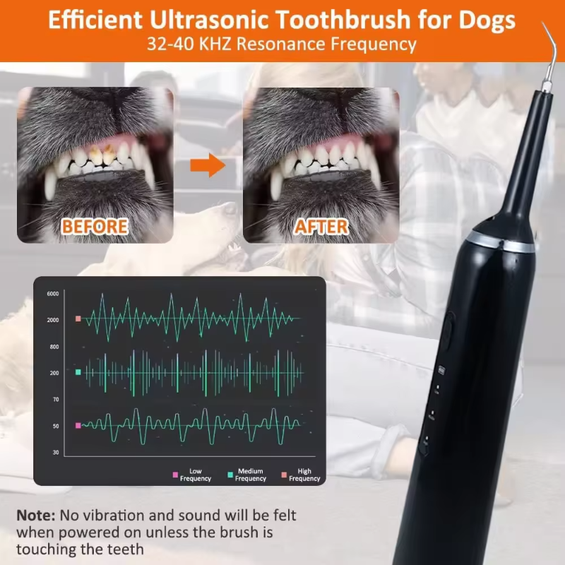Electric Pet Dental Cleaning Kit