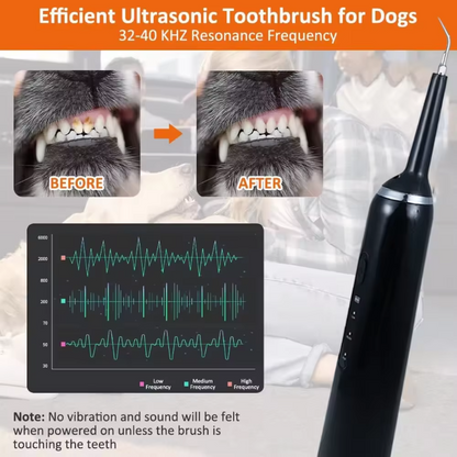 Electric Pet Dental Cleaning Kit