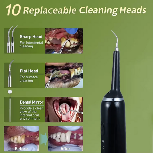 Electric Pet Dental Cleaning Kit