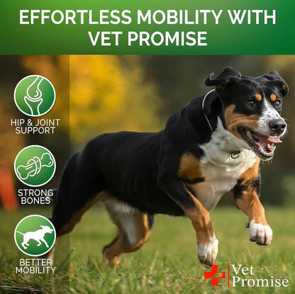 Dog Hip & Joint Support Soft Chews