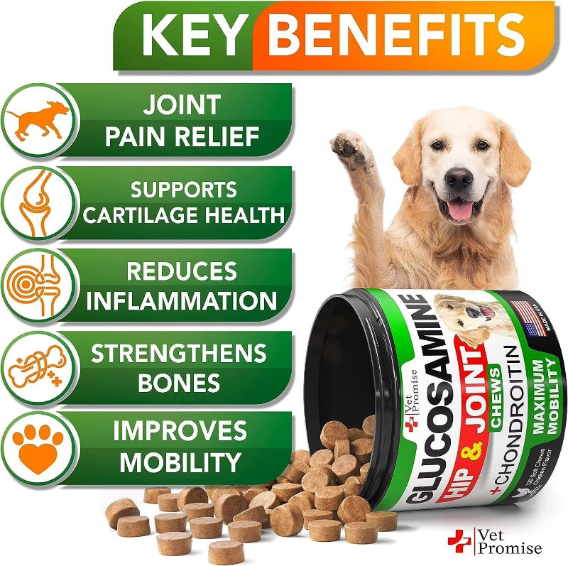 Dog Hip & Joint Support Soft Chews