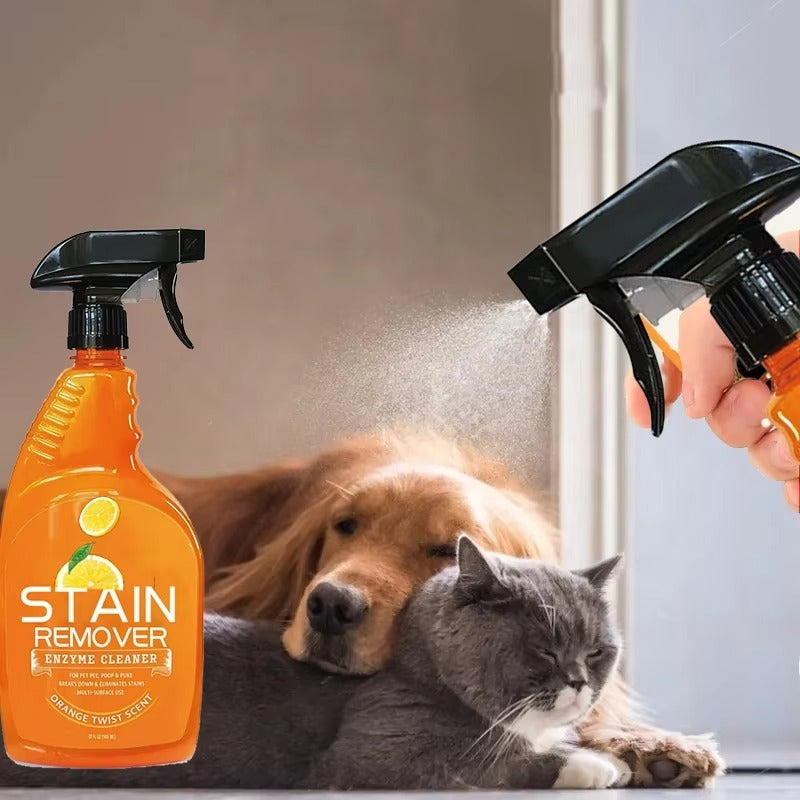 Enzyme Pet Stain Remover Spray