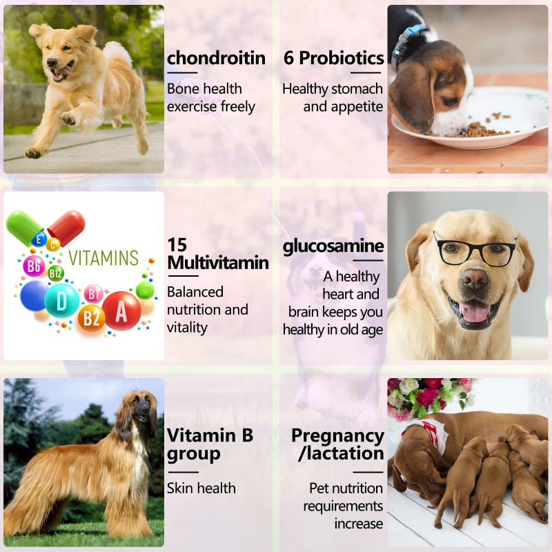 Dog Wellness Support Chews