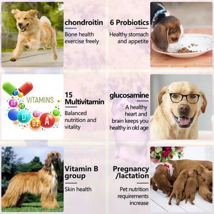 Dog Wellness Support Chews