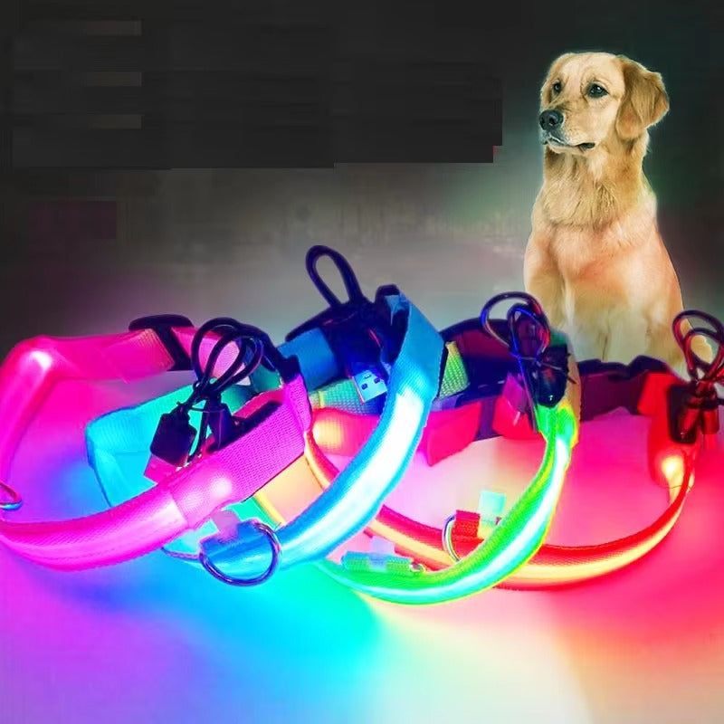 Rechargeable LED Dog Safety Collar