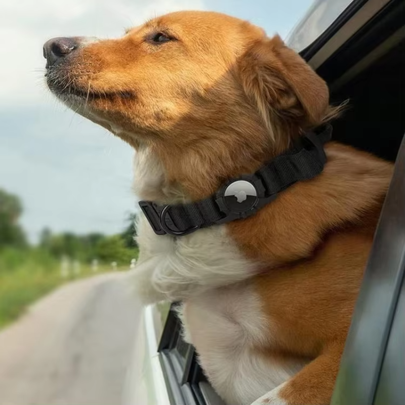 AirTag Nylon Dog Collar