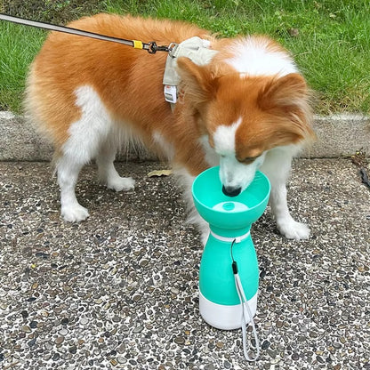 3-in-1 Pet Travel Water Bottle