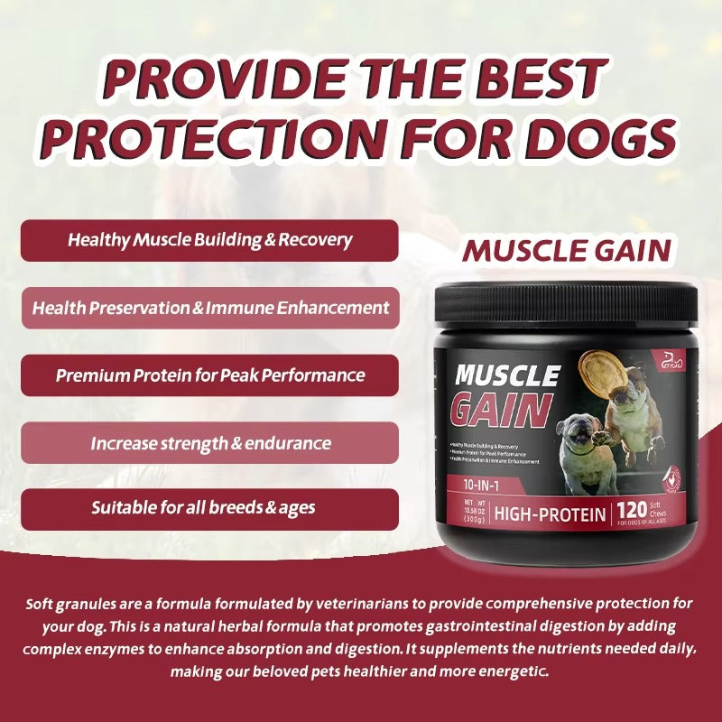 High Protein Dog Muscle Gain Soft Chews