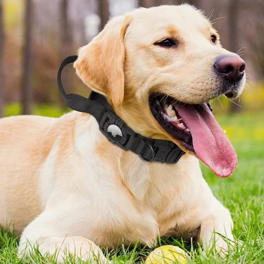 AirTag Nylon Dog Collar