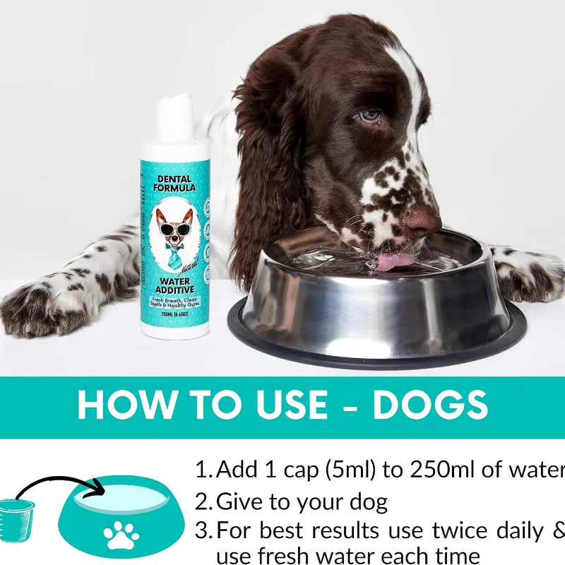 Natural Pet Dental Water Additive for Dogs & Cats