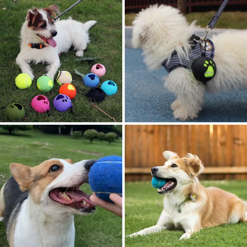 6-Pieces Dog Training Clicker Treat Kit