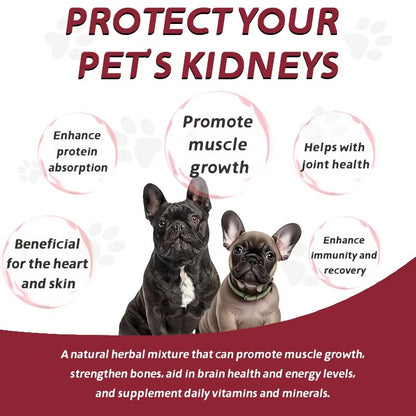 High Protein Dog Muscle Gain Soft Chews