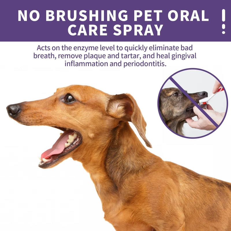 Natural Pet Oral Care Spray