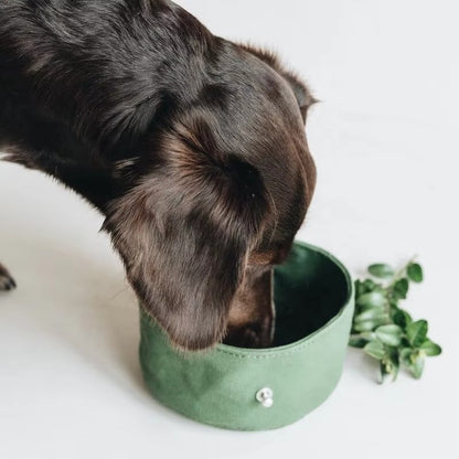 Collapsible Travel Dog Bowl