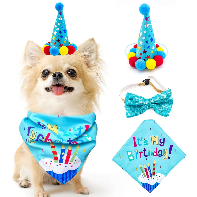 Dog Birthday Party Set