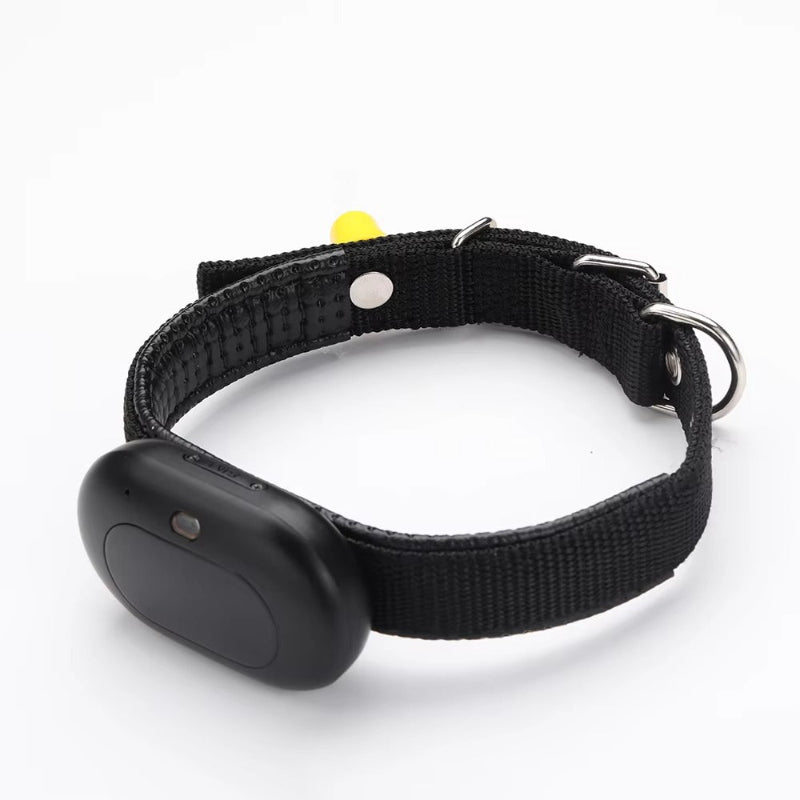 Real-Time GPS Pet Tracking Collar