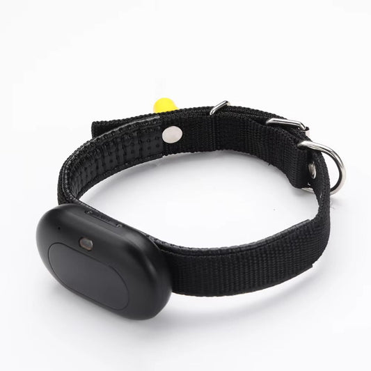 Real-Time GPS Pet Tracking Collar