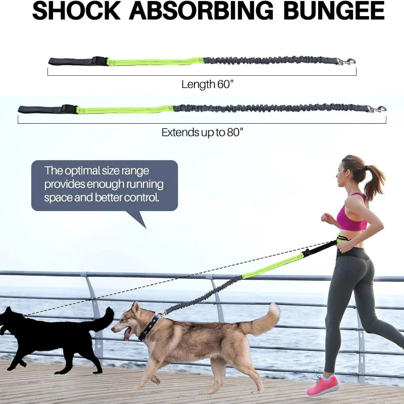 Reflective Hands-Free Dog Leash