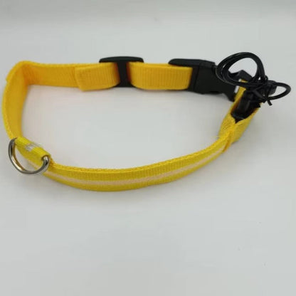 Rechargeable LED Dog Safety Collar
