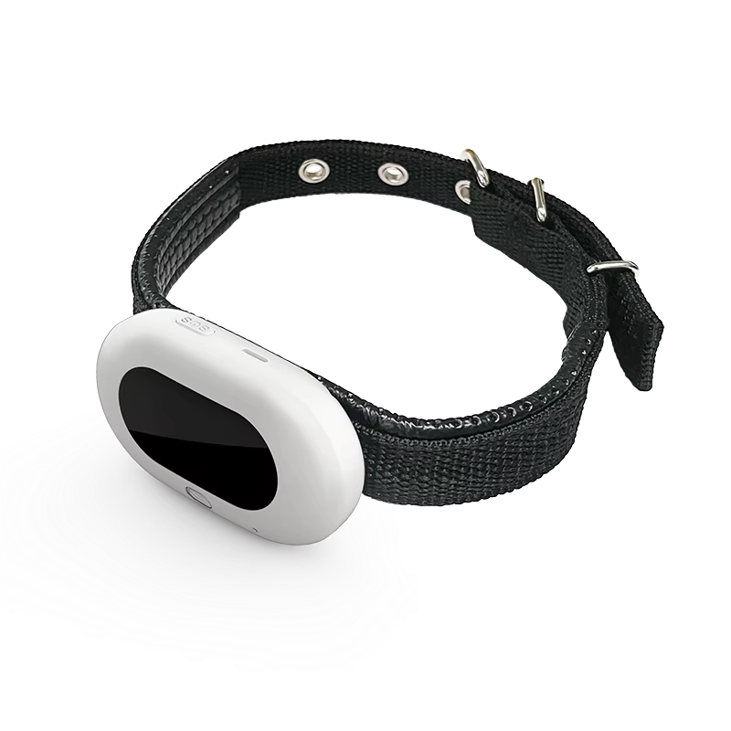 Real-Time GPS Pet Tracking Collar