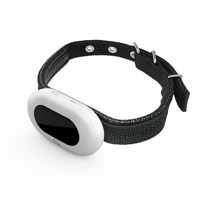 Real-Time GPS Pet Tracking Collar