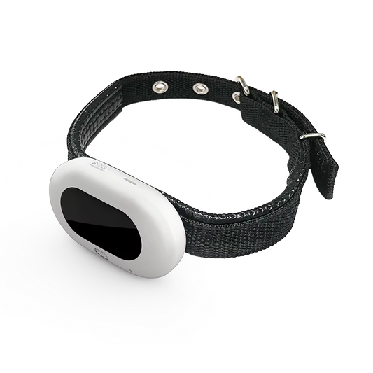 Real-Time GPS Pet Tracking Collar