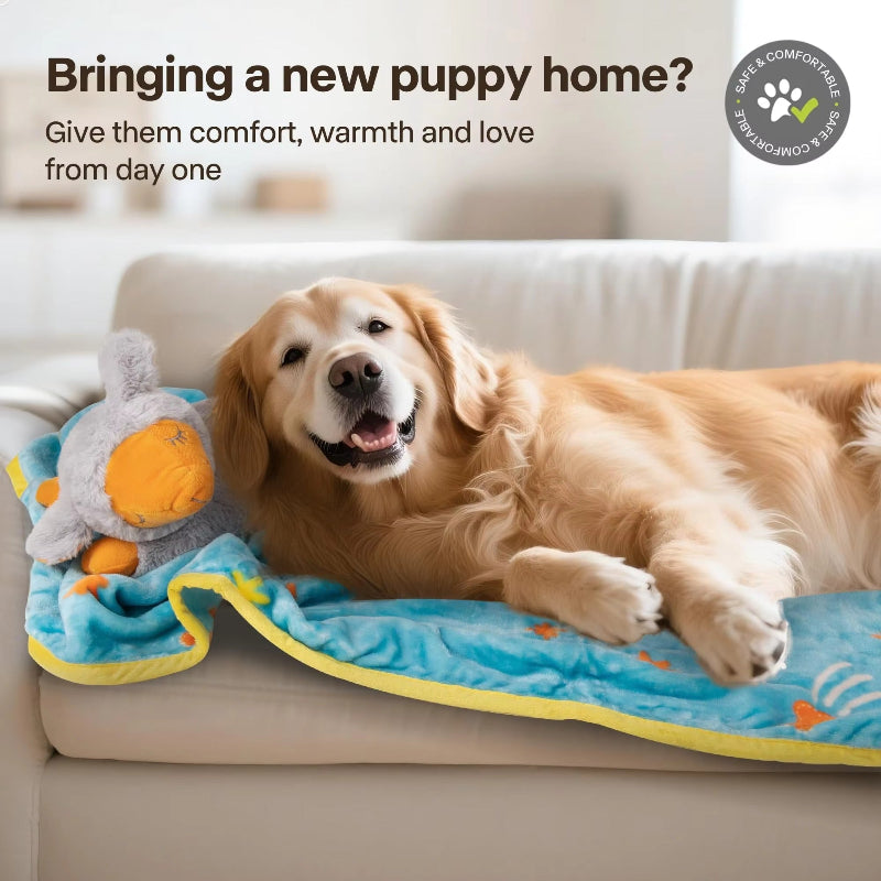Puppy Heartbeat Comfort Kit