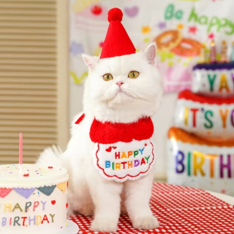 Pet Birthday Bandana Party Collar