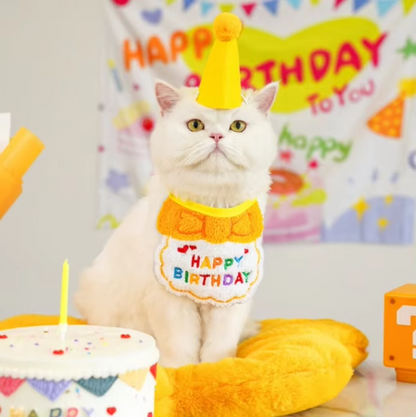 Pet Birthday Bandana Party Collar