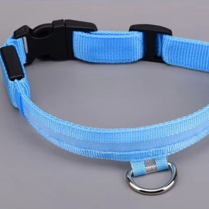 Rechargeable LED Dog Safety Collar