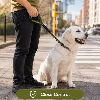 Tactical Bungee Dog Leash