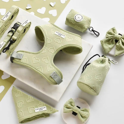 Luxury Dog Harness Leash Set
