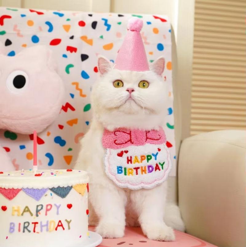 Pet Birthday Bandana Party Collar