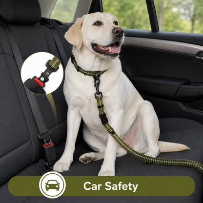 Tactical Bungee Dog Leash