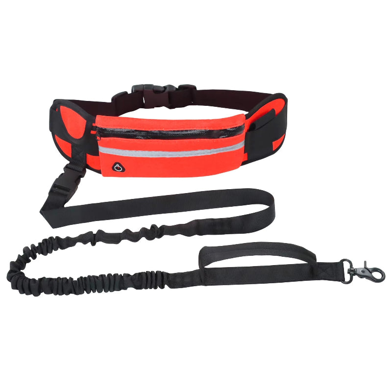 Reflective Hands-Free Dog Leash