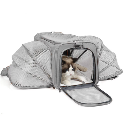 Large Double Pet Carrier Bag