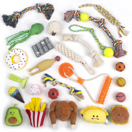 Heavy Chewer Dog Toy Box