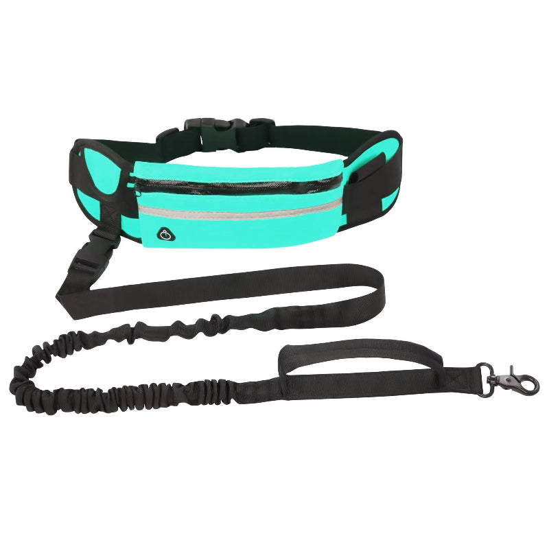 Reflective Hands-Free Dog Leash