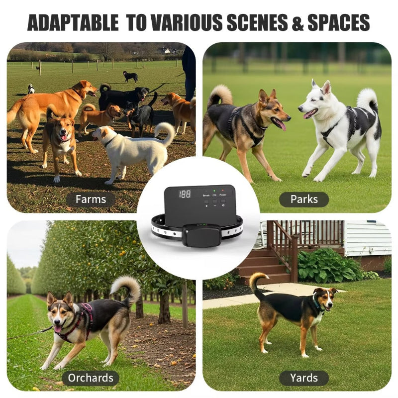 Wireless Dog Fence Training System